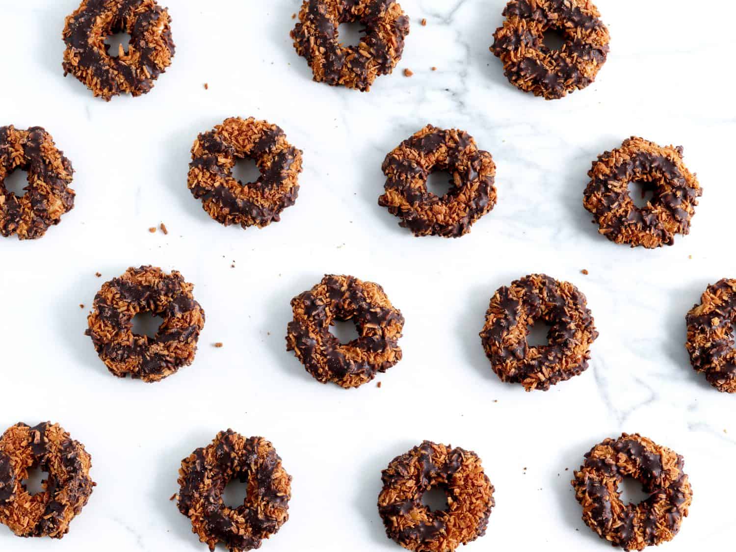 Girl Scout Cookies Samoa on Light Background