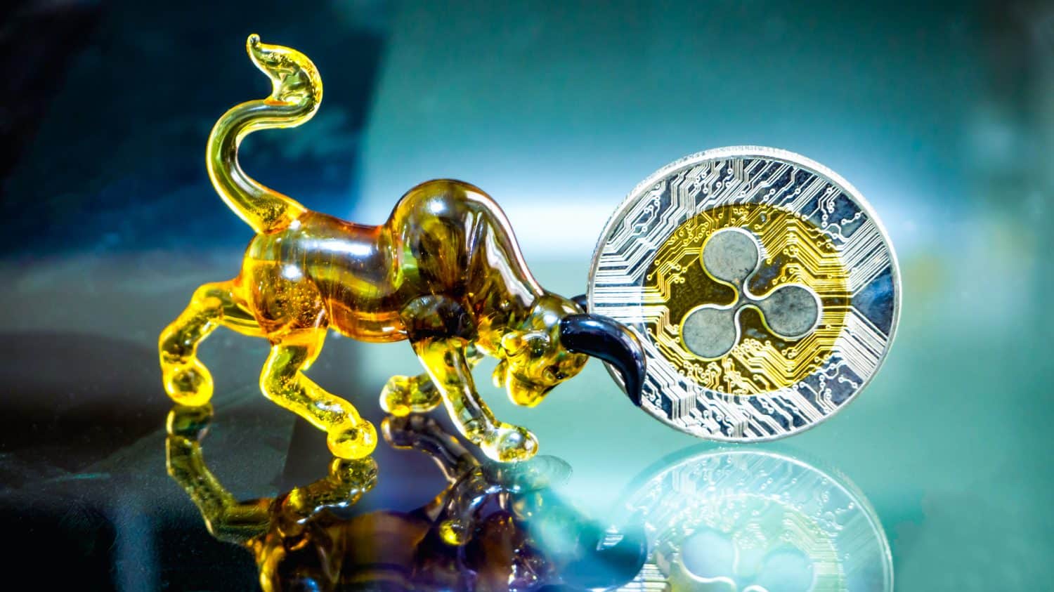 Digital coin money model Ripple (XRP) ้and Bull model Lay on the reflective glass floor. Concept price trend of the XRP coin value will uptrend or downtrend with a bull model.